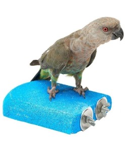 Parrot-Supplies Nail Trimming Sanded Shelf Parrot Perch Platform